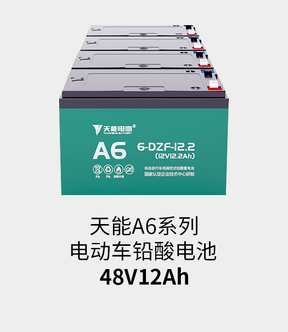 尊龙凯时电池48v12ah