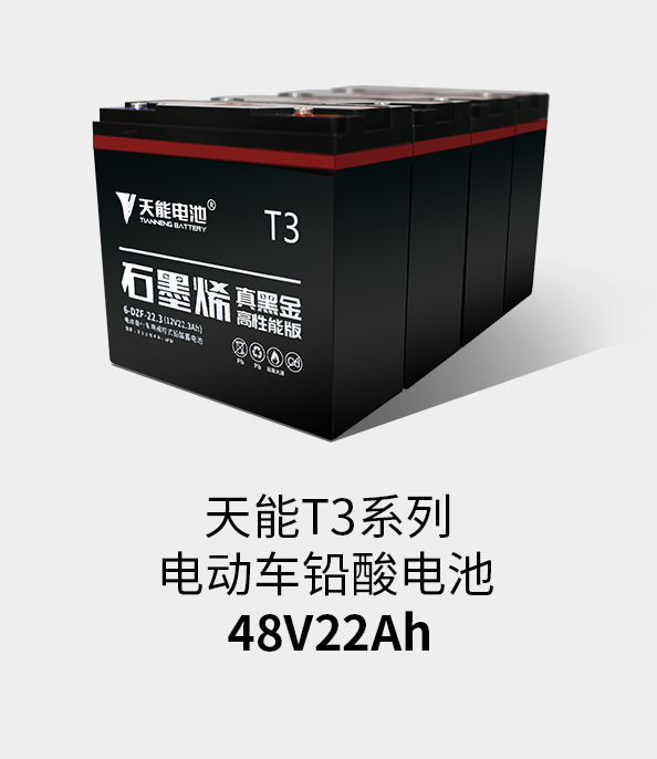 尊龙凯时T3系列48v22ah